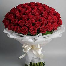 Букет 101 Красная роза Блэк Мэджик в Советский Ленинградской области