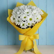 Букет цветов из:  Хризантемы в Советский Ленинградской области