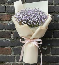 Букет цветов из:  Гипсофила в Советский Ленинградской области