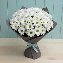 Букет цветов из:  Хризантемы #REPLACE_PRED# Советский Ленинградской области