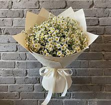 Букет цветов из:  Ромашки в Советский Ленинградской области