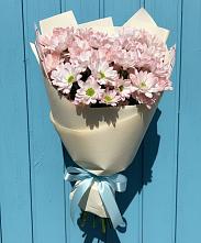 Букет цветов из:  Хризантемы в Советский Ленинградской области