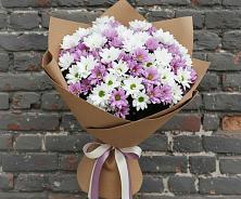 Букет цветов из:  Хризантемы в Советский Ленинградской области