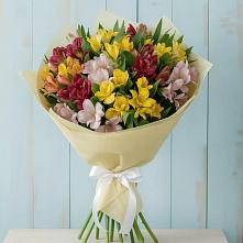 Букет цветов из:  Альстромерии в Советский Ленинградской области