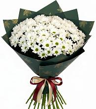 Букет цветов из:  Хризантемы в Советский Ленинградской области