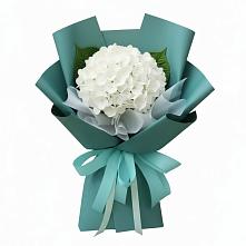 Букет цветов из:  Гортензия #REPLACE_PRED# Советский Ленинградской области